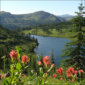 Looking down on Pearl Lake with crystal blue water and wildflowers blooming in the foreground.