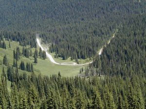 8 1 02 HOODOO MEADOWS 2