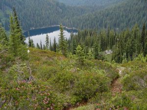 8 7 02 OLD TRAIL WITH MIDDLE ORG LK   MILE 185.43 TO WOLVERINE GULCH