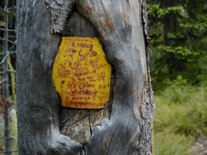 8 7 02 SIGN ALONG TRAIL