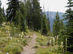 8 7 02 TRAIL