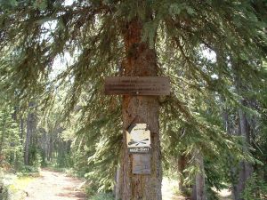 SIGN   TRAILHEAD