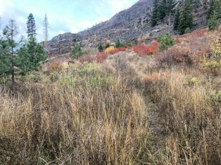 Mullan Road Hiking Trail   Alberton 103