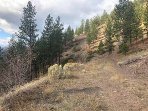 Mullan Road Above Scenic Rocks 103