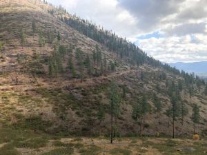 Mullan Road Above Scenic Rocks 104