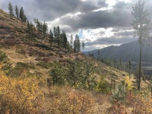 Mullan Road Above Scenic Rocks 107