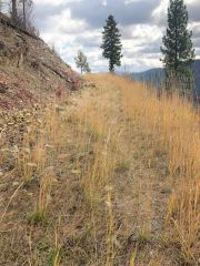 Mullan Road Above Scenic Rocks 114