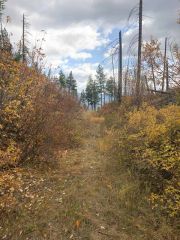 Mullan Road Above Scenic Rocks 118